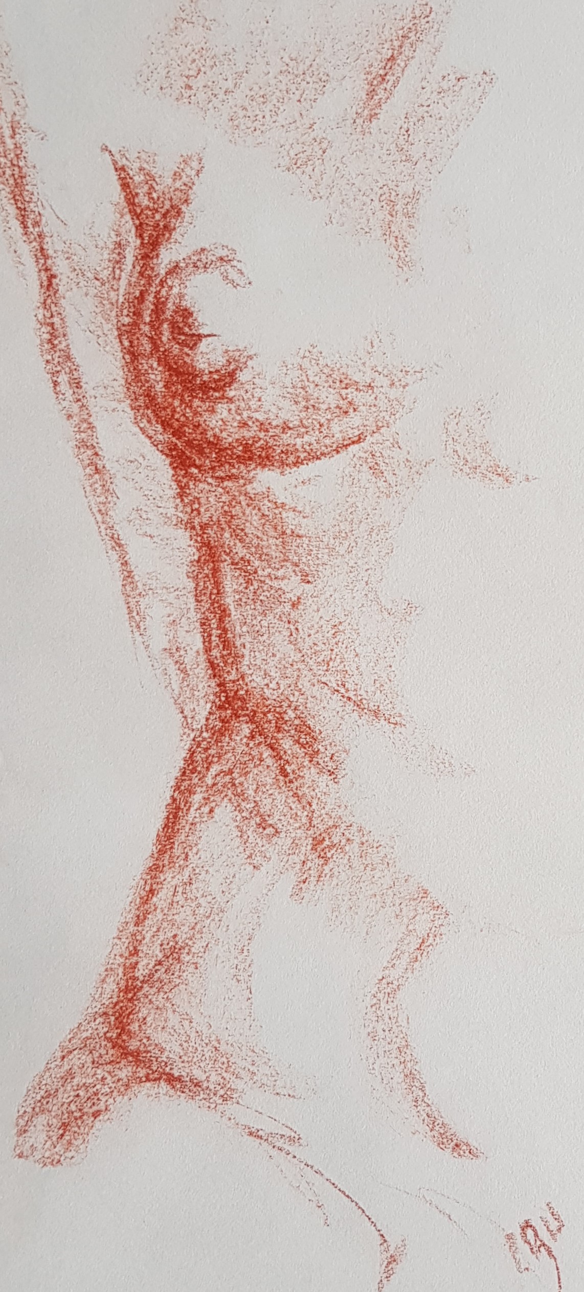 détail d'un corps de femme esquissé à la sanguine XVIIIe s