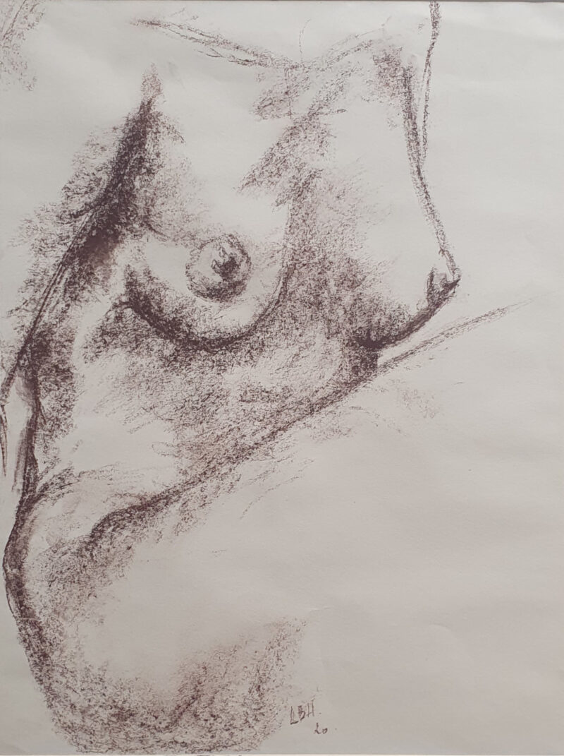 Corps de femme dévoilée au bistre